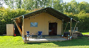 Safari Tent Base